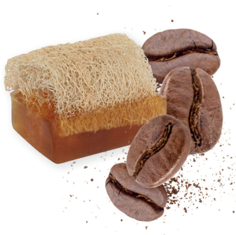 Natural Pumpkin Fiber Coffee Exfoliating Soap